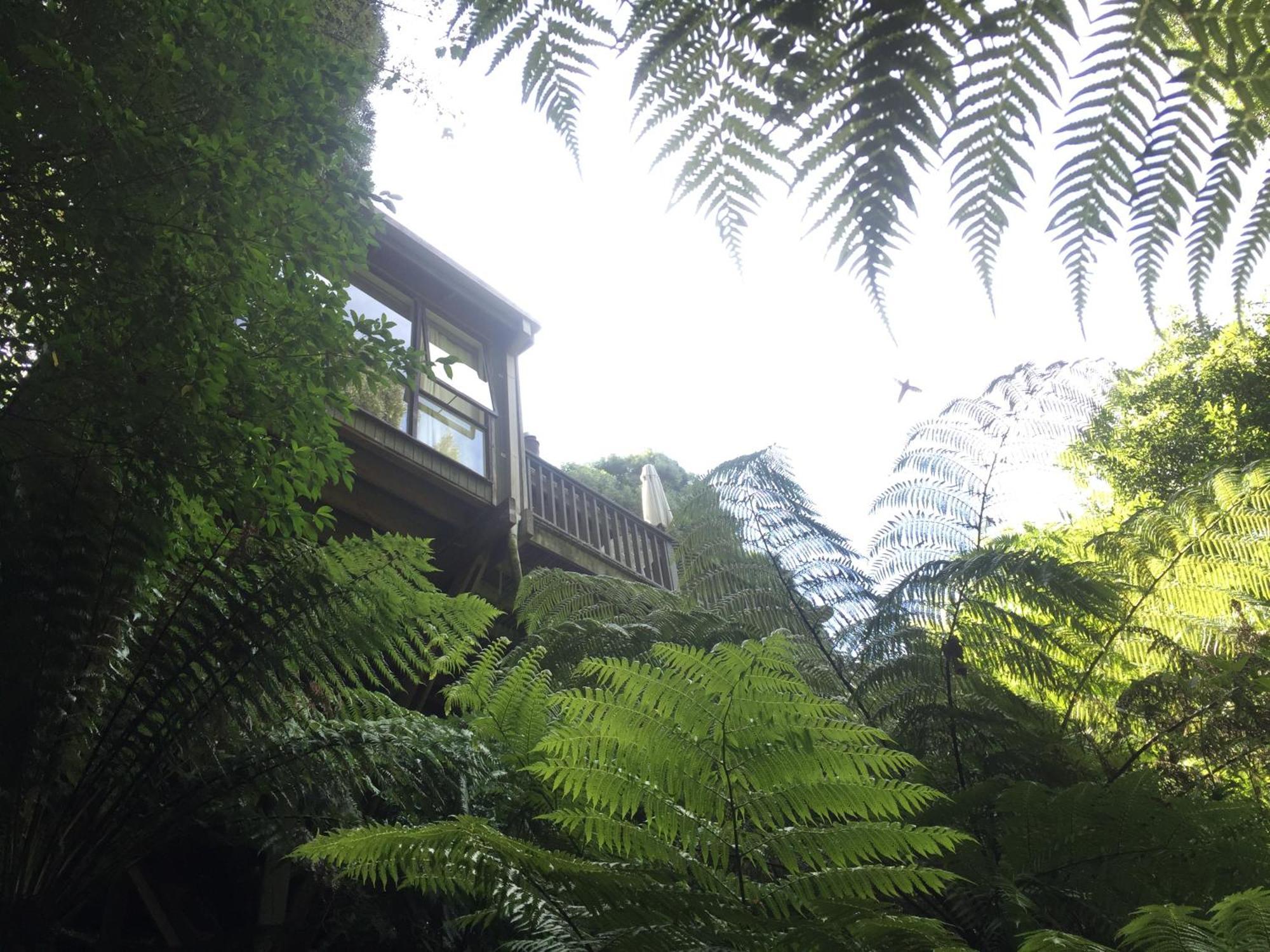 Sassafras Treehouse Private Home In The Dandenong Ranges, Victoria Zewnętrze zdjęcie