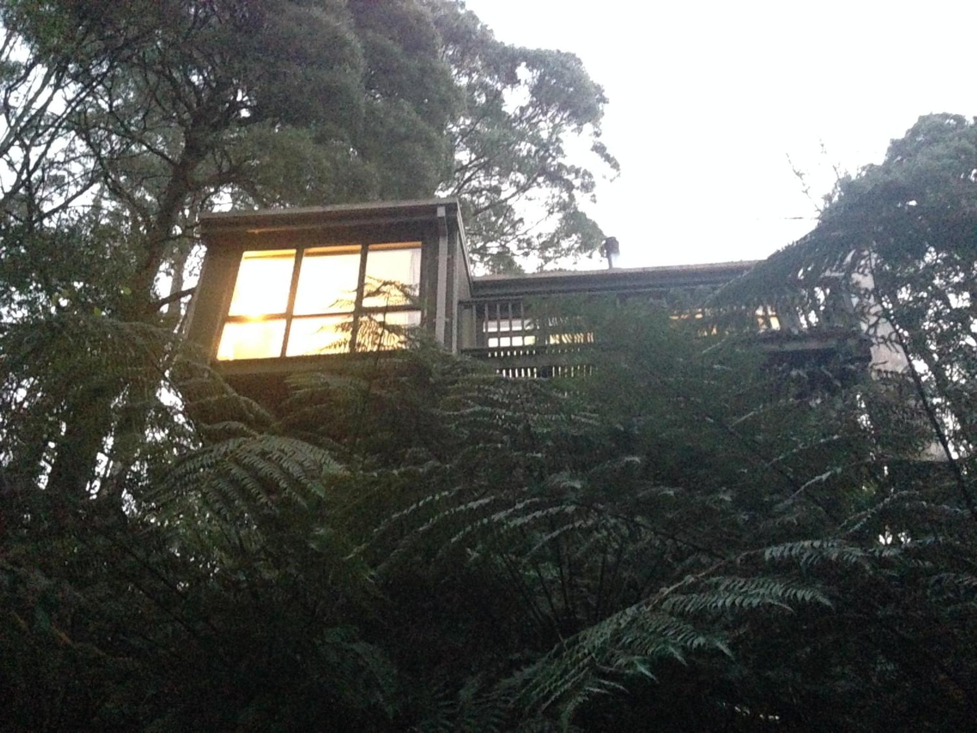 Sassafras Treehouse Private Home In The Dandenong Ranges, Victoria Zewnętrze zdjęcie