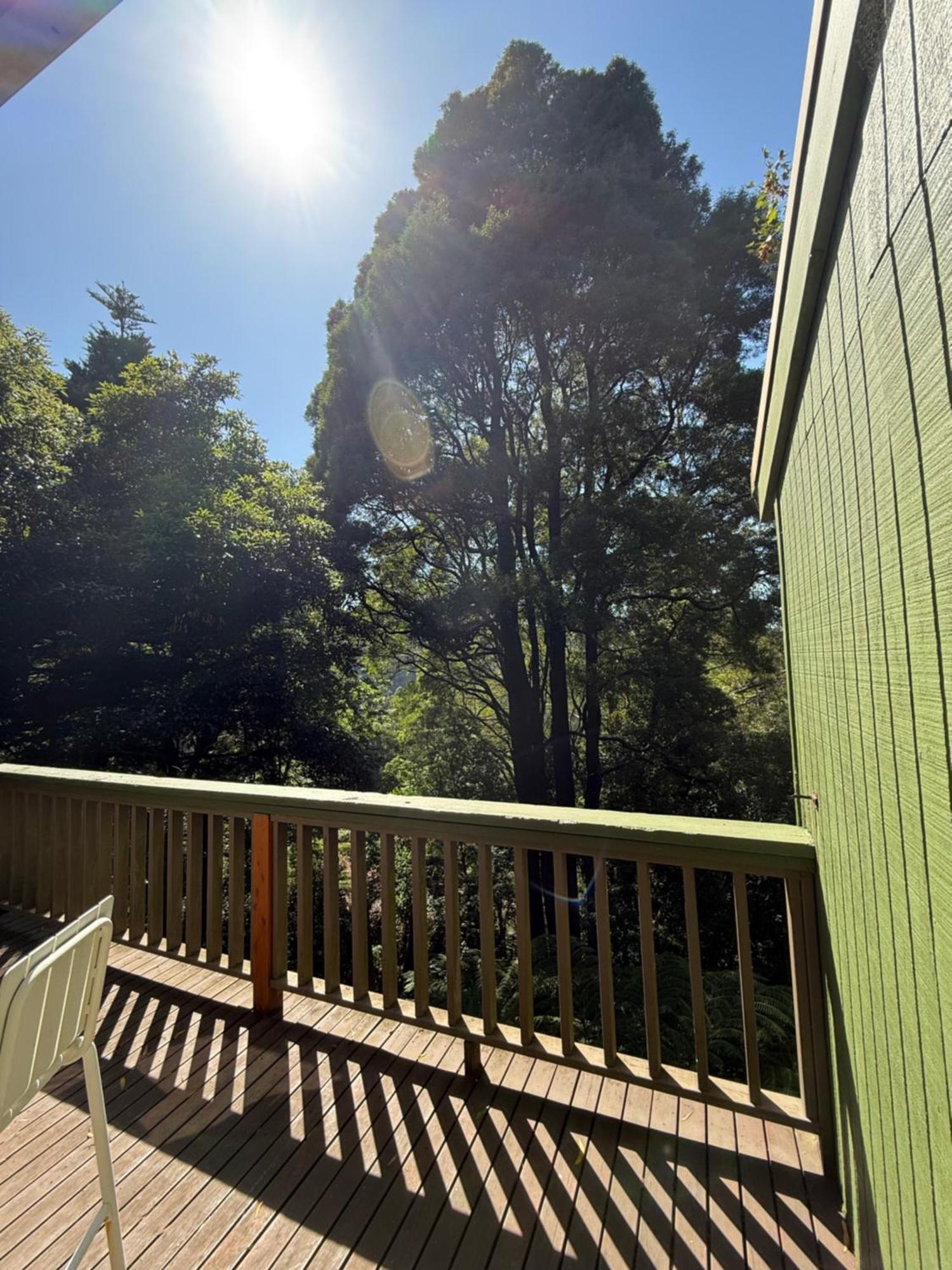 Sassafras Treehouse Private Home In The Dandenong Ranges, Victoria Zewnętrze zdjęcie